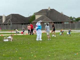 IMG_7266.jpg